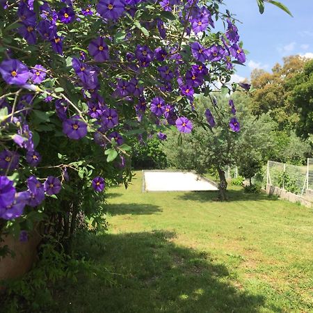 Oustaou Di Ercole Lägenhet Bormes-les-Mimosas Exteriör bild