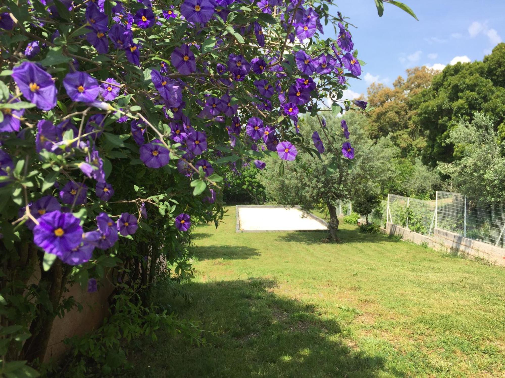 Oustaou Di Ercole Lägenhet Bormes-les-Mimosas Exteriör bild
