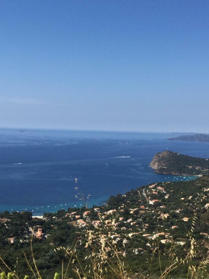 Oustaou Di Ercole Lägenhet Bormes-les-Mimosas Exteriör bild